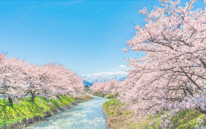 ごあいさつ